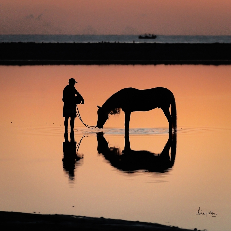 All Is Quiet by artist Claire Porter